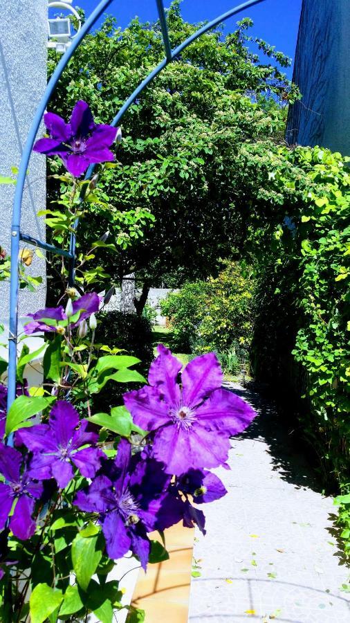 بري سور مارن Chambre Avec Jardin Pierre Curie المظهر الخارجي الصورة